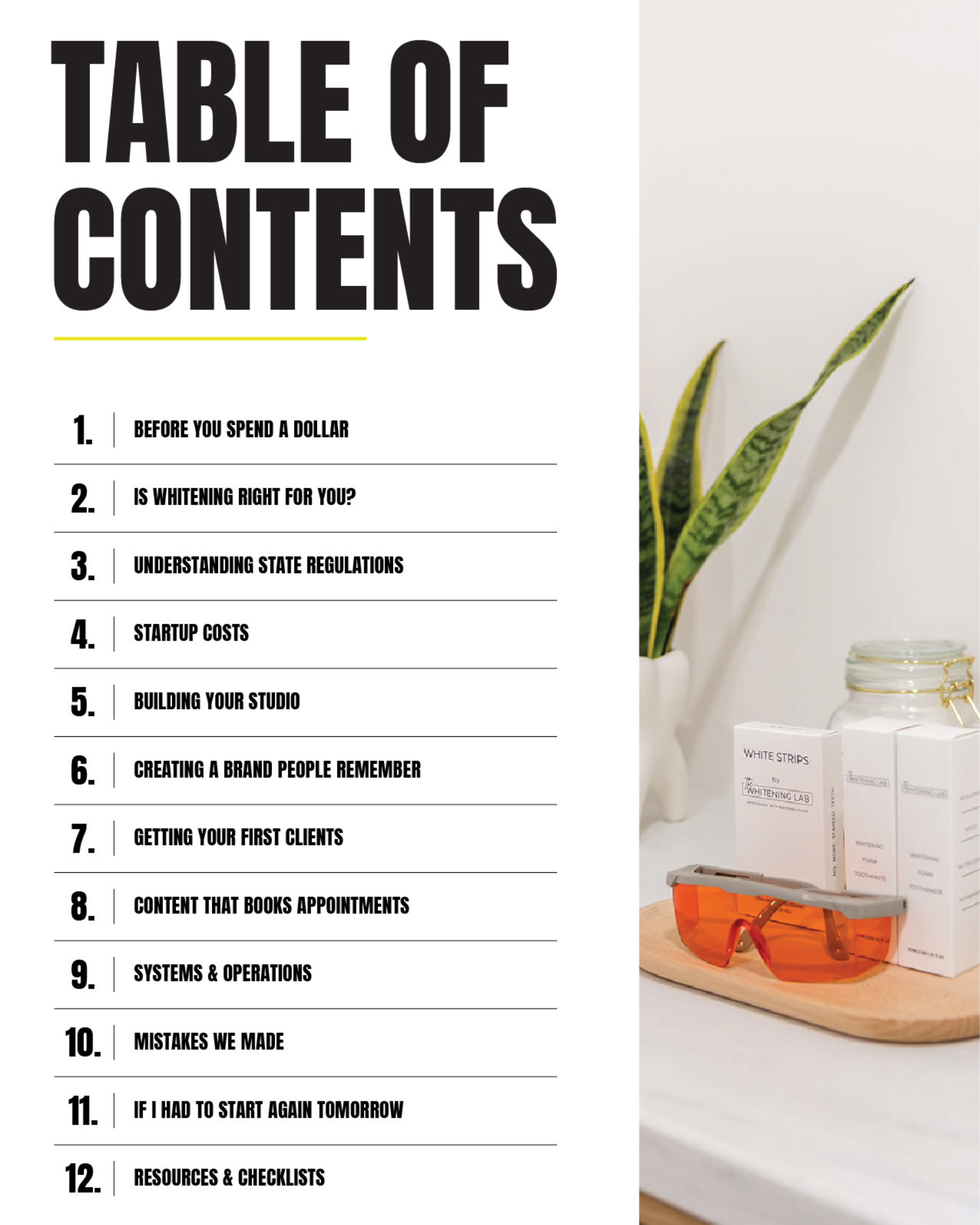 The Whitening Lab Startup Guide (Presale)